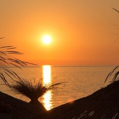 Отель Paradise Lukova Hotel Албания, Химара - отзывы, цены и фото номеров - забронировать отель Paradise Lukova Hotel онлайн фото 5
