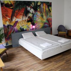 Отель Wienderland B&B Австрия, Вена - отзывы, цены и фото номеров - забронировать отель Wienderland B&B онлайн комната для гостей фото 3