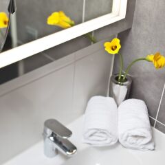 Отель Hapimag Resort Amsterdam Нидерланды, Амстердам - отзывы, цены и фото номеров - забронировать отель Hapimag Resort Amsterdam онлайн ванная