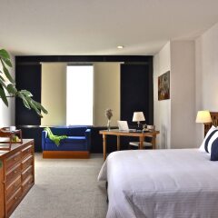 Hotel Misión Guadalajara Carlton комната для гостей фото 5