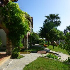 Отель Mountain Lodge развлечения