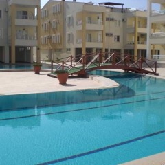 Aqua Vista Турция, Алтинкум - отзывы, цены и фото номеров - забронировать отель Aqua Vista онлайн бассейн