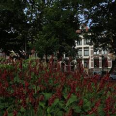 Отель Frederik Park House Нидерланды, Амстердам - отзывы, цены и фото номеров - забронировать отель Frederik Park House онлайн помещение для мероприятий