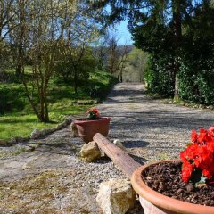 Отель B&B Valle dei Molini Италия, Лимена - отзывы, цены и фото номеров - забронировать отель B&B Valle dei Molini онлайн приотельная территория фото 2