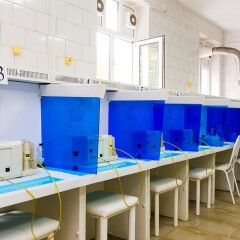 Гостиница Санаторий Анапа в Анапе отзывы, цены и фото номеров - забронировать гостиницу Санаторий Анапа онлайн фото 5