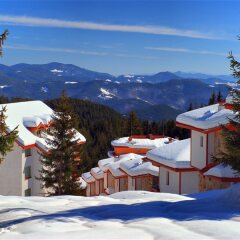 Hotel Forest Glade Чепеларе фото 3