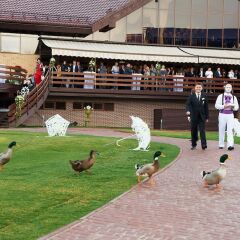 Гостиница Superior Golf and SPA Resort Украина, Харьков - отзывы, цены и фото номеров - забронировать гостиницу Superior Golf and SPA Resort онлайн с домашними животными
