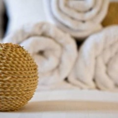 Rosedale Hotel & Suites Guangzhou Гуанчжоу с домашними животными
