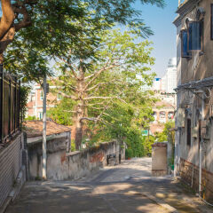 Отель Gulangyu Phoenix Китай, Сямынь - отзывы, цены и фото номеров - забронировать отель Gulangyu Phoenix онлайн фото 7