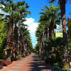 Отель VONRESORT Golden Beach - All Inclusive фото 13