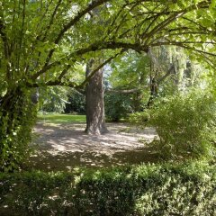 Отель Villa Moro Lin Италия, Лимена - отзывы, цены и фото номеров - забронировать отель Villa Moro Lin онлайн приотельная территория фото 2