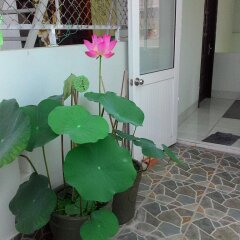Отель Thien Truc Guest House Нячанг фото 3