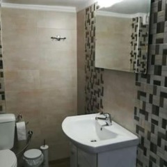 Апартаменты Cosy Apartment in Athens Center Neos Kosmos ванная