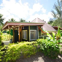 Отель Marks Place Moorea Французская Полинезия, Муреа - отзывы, цены и фото номеров - забронировать отель Marks Place Moorea онлайн фото 18