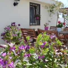 Отель B&B Bella Bari Бари фото 3