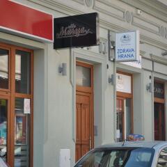 Отель Bed & Breakfast Villa Marija M. L. Сербия, Белград - отзывы, цены и фото номеров - забронировать отель Bed & Breakfast Villa Marija M. L. онлайн городской автобус