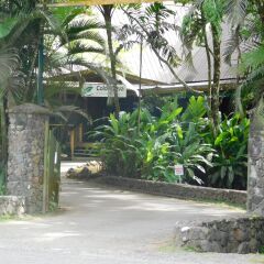 Отель Colo-I-Suva Rainforest Eco Resort Вити-Леву фото 17