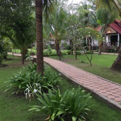 Отель Noble House Beach Resort фото 6