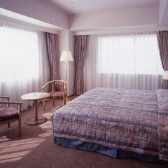 Отель Grand Hotel New Oji Япония, Томакомай - отзывы, цены и фото номеров - забронировать отель Grand Hotel New Oji онлайн комната для гостей фото 2