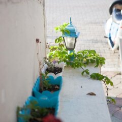 Fethiye Guesthouse Турция, Фетхие - отзывы, цены и фото номеров - забронировать отель Fethiye Guesthouse онлайн