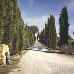 Отель Villa Di Nottola спортивное сооружение