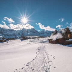 Hostel & Apartments u Florka 2 Закопане спортивное сооружение