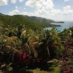 Coconut Tree Villa in Tortola, British Virgin Islands from 526$, photos, reviews - zenhotels.com photo 7
