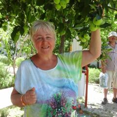Elis Beach Hotel - All Inclusive Сиде фото 7