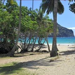 Отель Keikahanui Nuku Hiva Pearl Lodge Французская Полинезия, Нуку-Хива - отзывы, цены и фото номеров - забронировать отель Keikahanui Nuku Hiva Pearl Lodge онлайн пляж фото 2