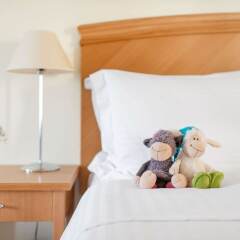 Отель Radisson Blu Hotel Klaipeda Литва, Клайпеда - отзывы, цены и фото номеров - забронировать отель Radisson Blu Hotel Klaipeda онлайн детские мероприятия