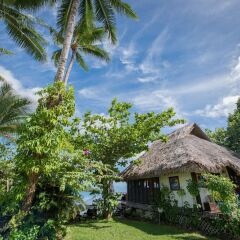 Отель Bora Bora Bungalove Французская Полинезия, Бора-Бора - отзывы, цены и фото номеров - забронировать отель Bora Bora Bungalove онлайн фото 13