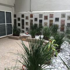 Отель Grupo Kings Suites Chimborazo Мехико фото 5