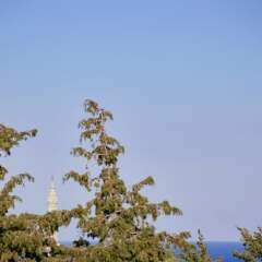 Отель Rodos Park Suites & Spa Родос фото 7