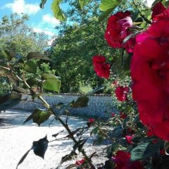 Отель Agriturismo U Cannatiallu Амантея