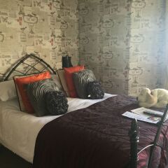 Отель Plas Llwyd Guest House комната для гостей фото 5