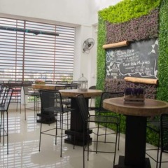Отель Hostel Inn Cancun Мексика, Канкун - отзывы, цены и фото номеров - забронировать отель Hostel Inn Cancun онлайн питание