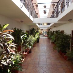 Отель Cabo Cush Мексика, Кабо-Сан-Лукас - отзывы, цены и фото номеров - забронировать отель Cabo Cush онлайн фото 9