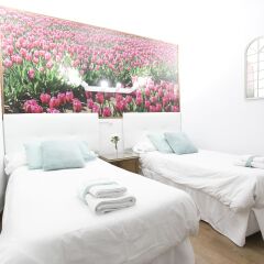 Отель Hostal Royal Cruz фото 20