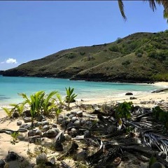 Отель Keikahanui Nuku Hiva Pearl Lodge Французская Полинезия, Нуку-Хива - отзывы, цены и фото номеров - забронировать отель Keikahanui Nuku Hiva Pearl Lodge онлайн пляж