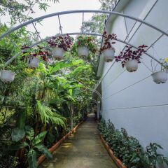 Отель Hanh Ngoc Bungalow фото 5