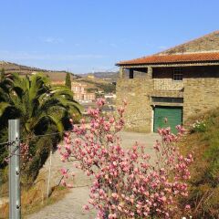 Отель Villa With 3 Bedrooms in Lamego, With Wonderful Mountain View, Private детские мероприятия