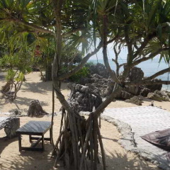Отель Moonlight Exotic Bay Resort Таиланд, Ланта - отзывы, цены и фото номеров - забронировать отель Moonlight Exotic Bay Resort онлайн фото 3