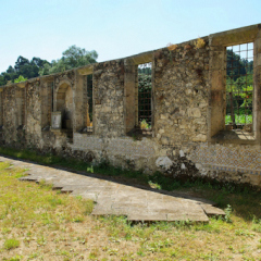 Отель Hospedaria Convento De Tibaes с домашними животными