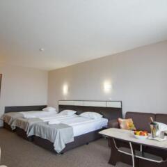 Park Hotel Arbanassi Велико Тырново комната для гостей фото 3