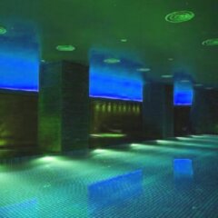 Лотте Отель Москва с домашними животными