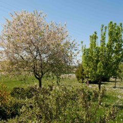 Отель Villa Pinella Прамаджоре фото 5