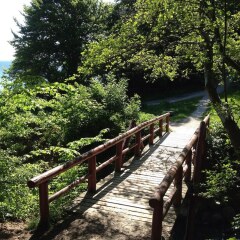 Отель Hørhavegården Дания, Орхус - отзывы, цены и фото номеров - забронировать отель Hørhavegården онлайн приотельная территория