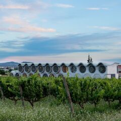 Cava & Hotel Mastinell фото 12