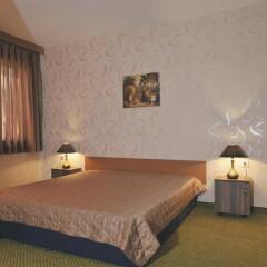 Rodopi Hotel комната для гостей фото 2