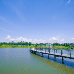 Отель COZi ·Wetland Китай, Гонконг - отзывы, цены и фото номеров - забронировать отель COZi ·Wetland онлайн приотельная территория фото 2